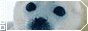 button8